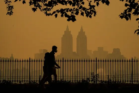 Hazy park or outdoor scene with visible atmosphere