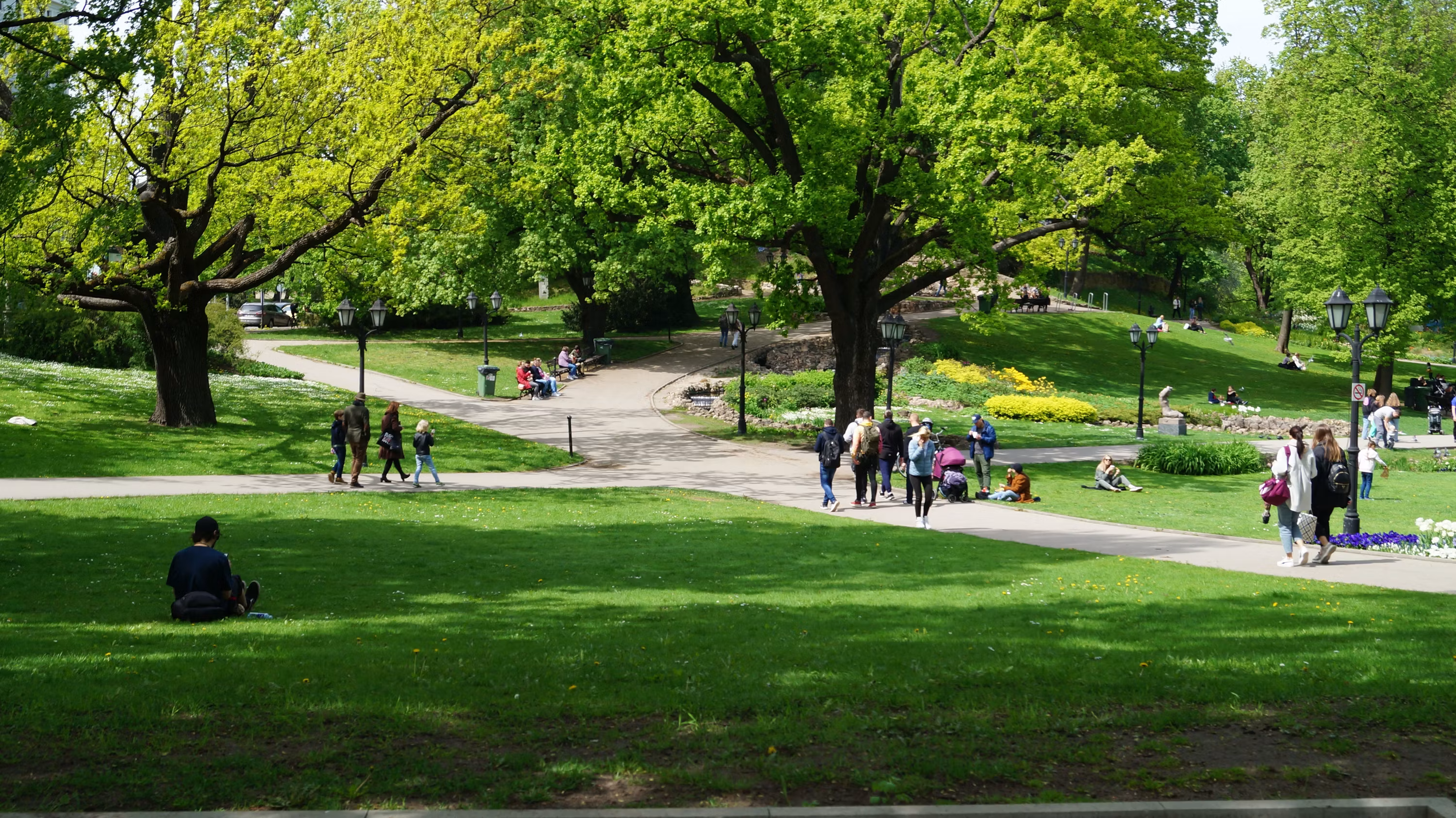 Family or group in a park setting