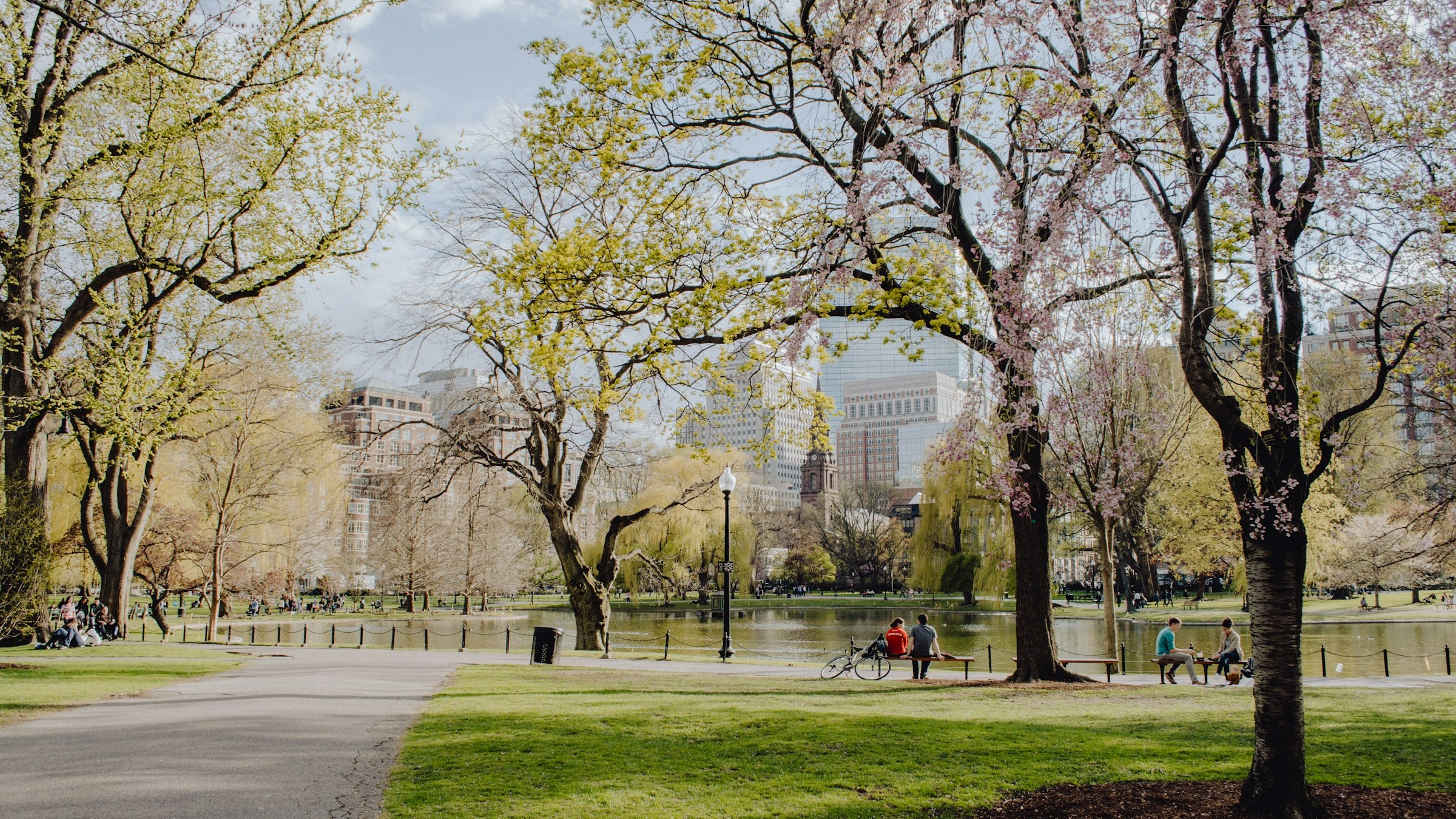 Public park with open sky