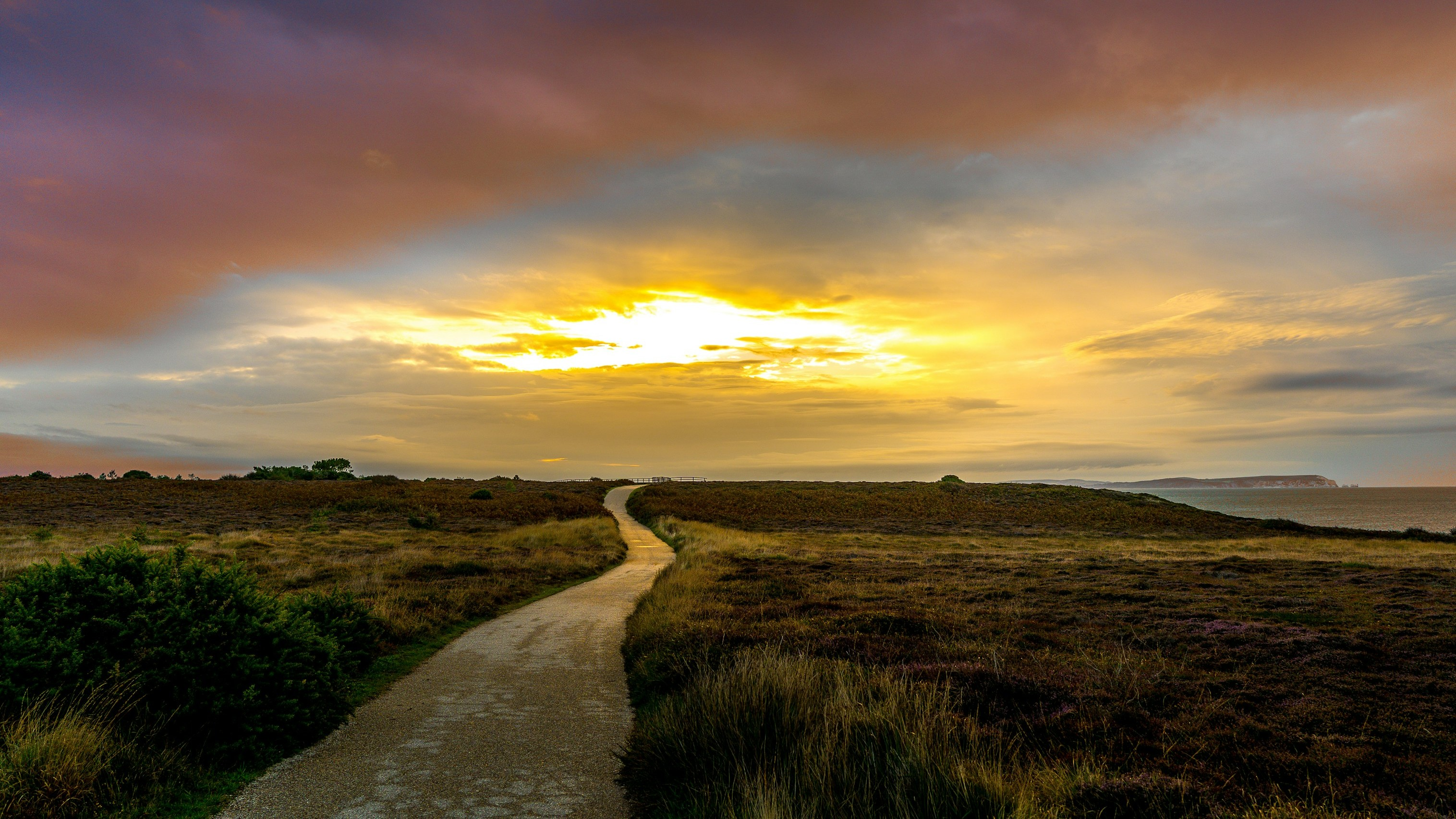 Forest trail at dawn